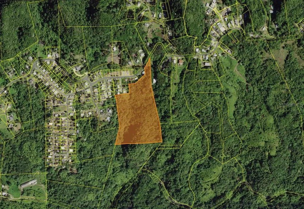 Solar 19 BARRIO CORDILLERA Ciales, PR 00638