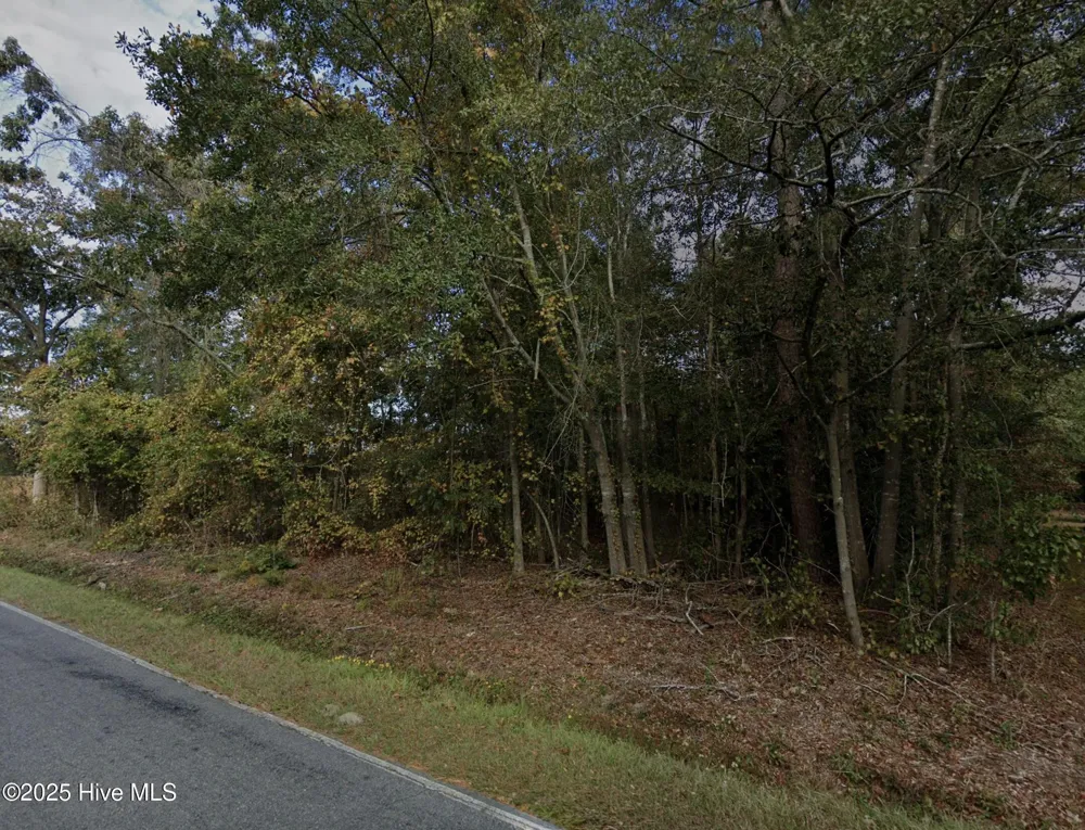 0 Radford Road Princeton, NC 27569