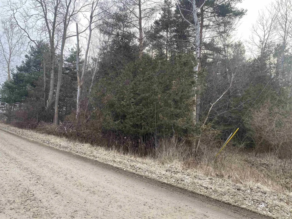 Mann Road Port Sanilac Village, MI 48469