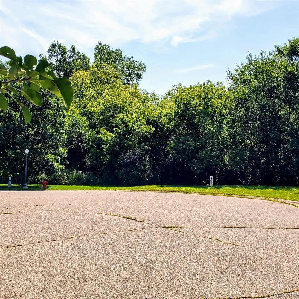 10294 CARRIAGE WAY Davison City, MI 48423