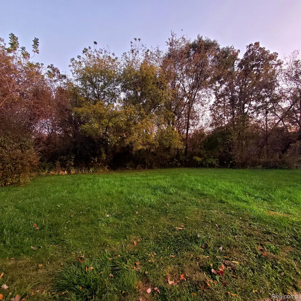 10294 CARRIAGE WAY Davison City, MI 48423