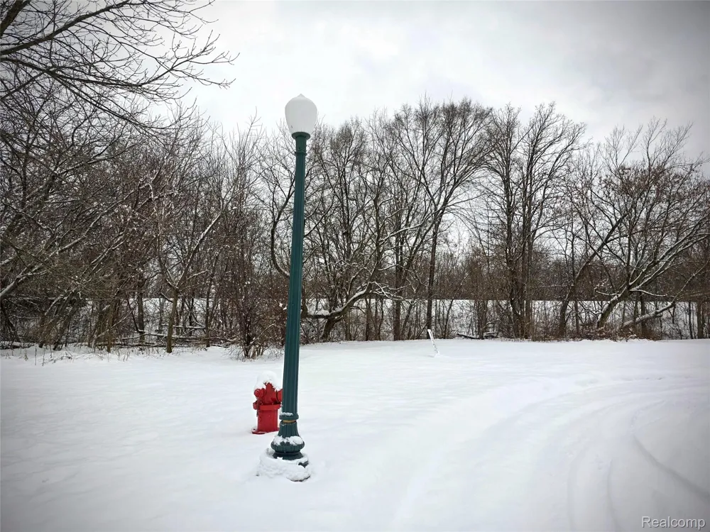 10294 CARRIAGE WAY Davison City, MI 48423