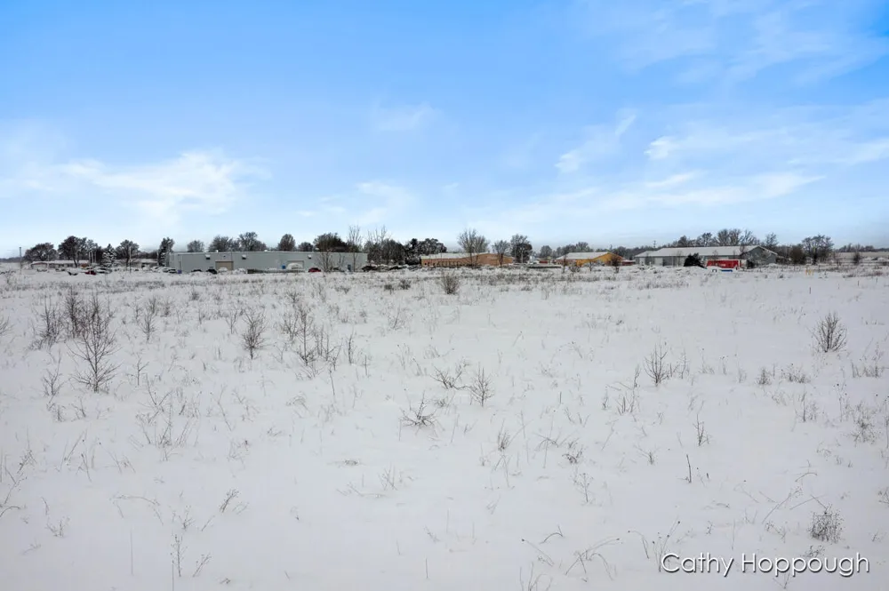 3615 S State Road Orange Township, MI 48846
