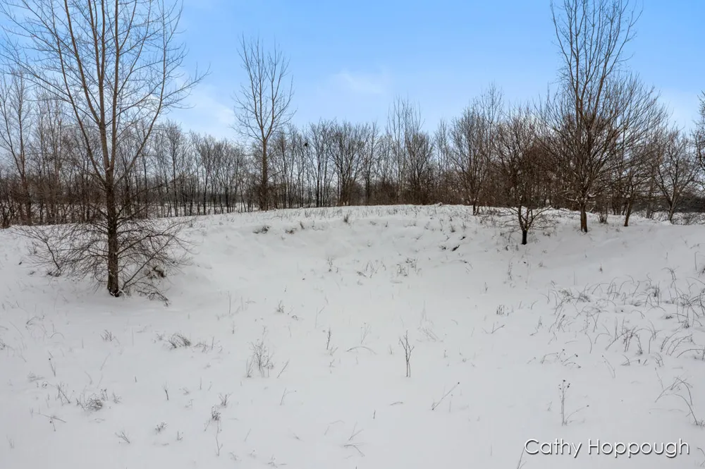 3615 S State Road Orange Township, MI 48846