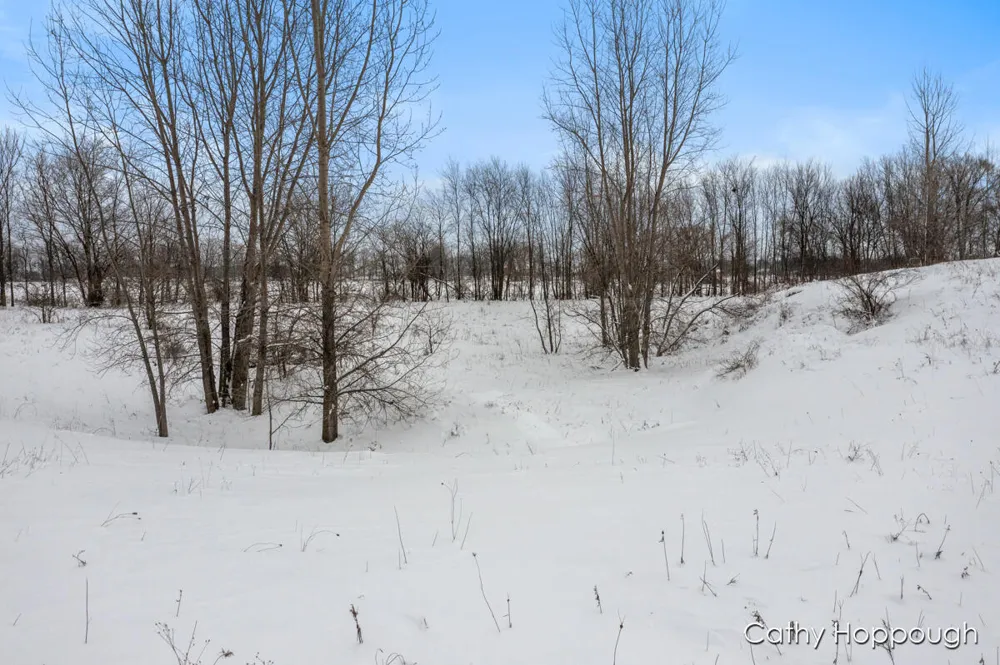 3615 S State Road Orange Township, MI 48846