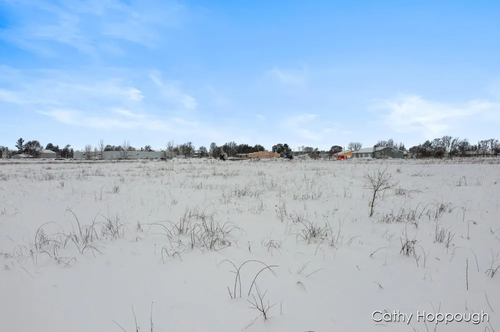 3615 S State Road Orange Township, MI 48846