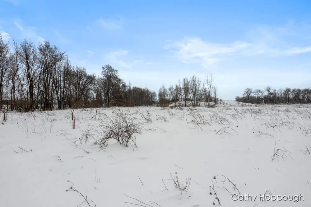 3615 S State Road Orange Township, MI 48846
