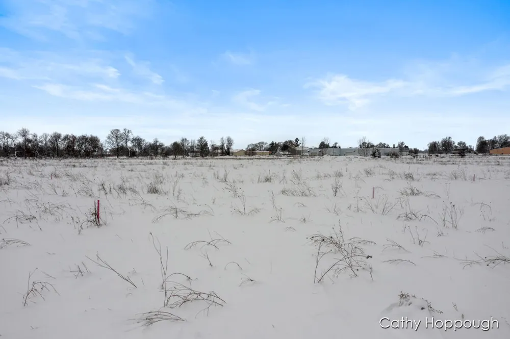 3615 S State Road Orange Township, MI 48846