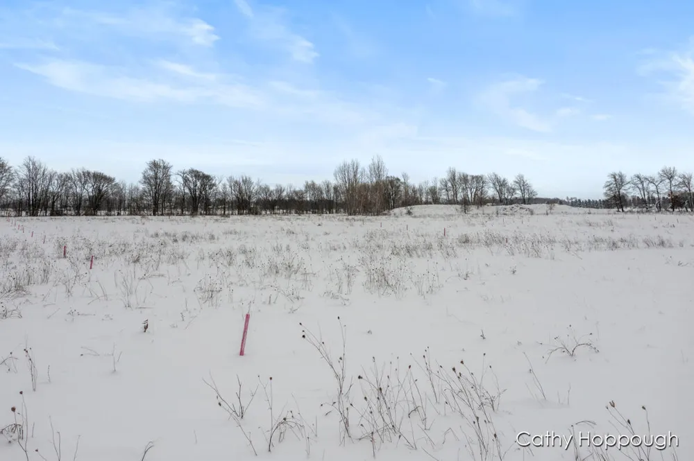 3615 S State Road Orange Township, MI 48846