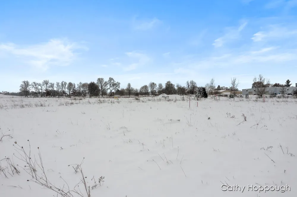 3615 S State Road Orange Township, MI 48846