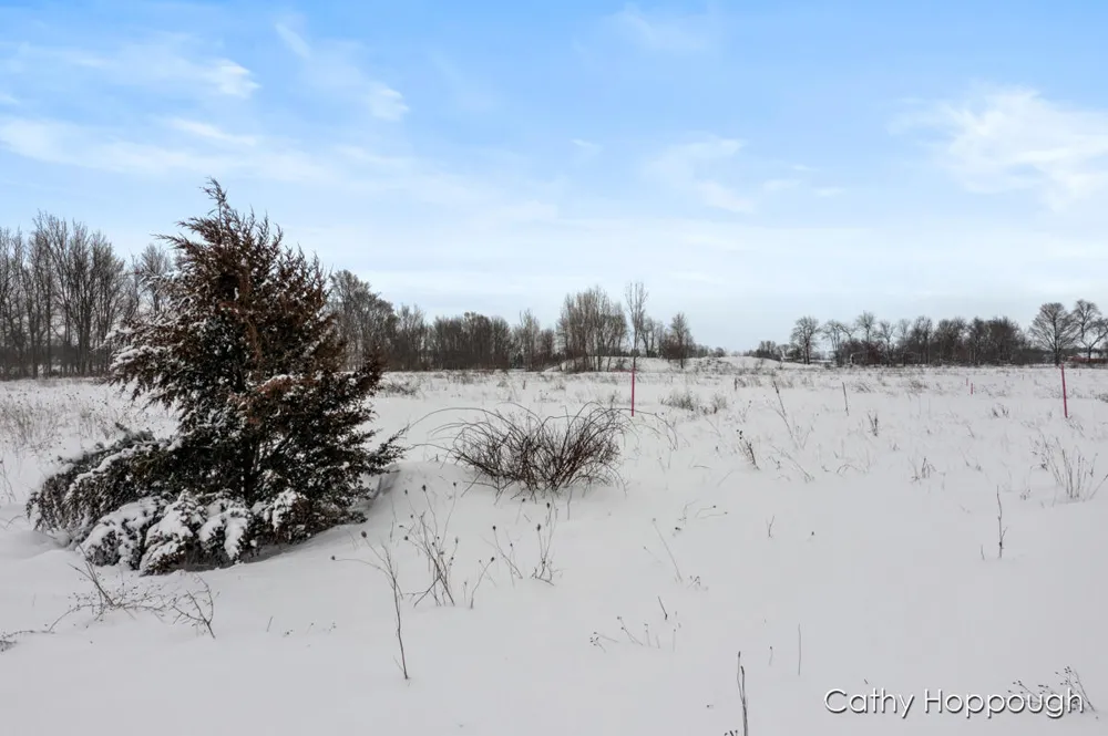 3615 S State Road Orange Township, MI 48846