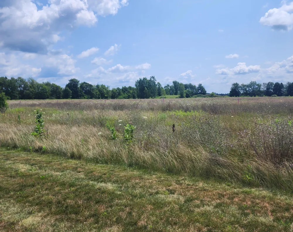 3615 S State Road Orange Township, MI 48846