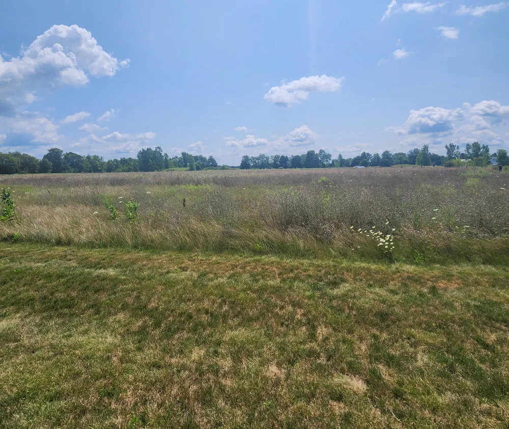 3615 S State Road Orange Township, MI 48846