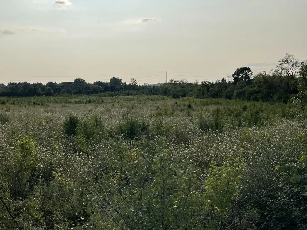 Munger Road Pittsfield Charter Township, MI 48197