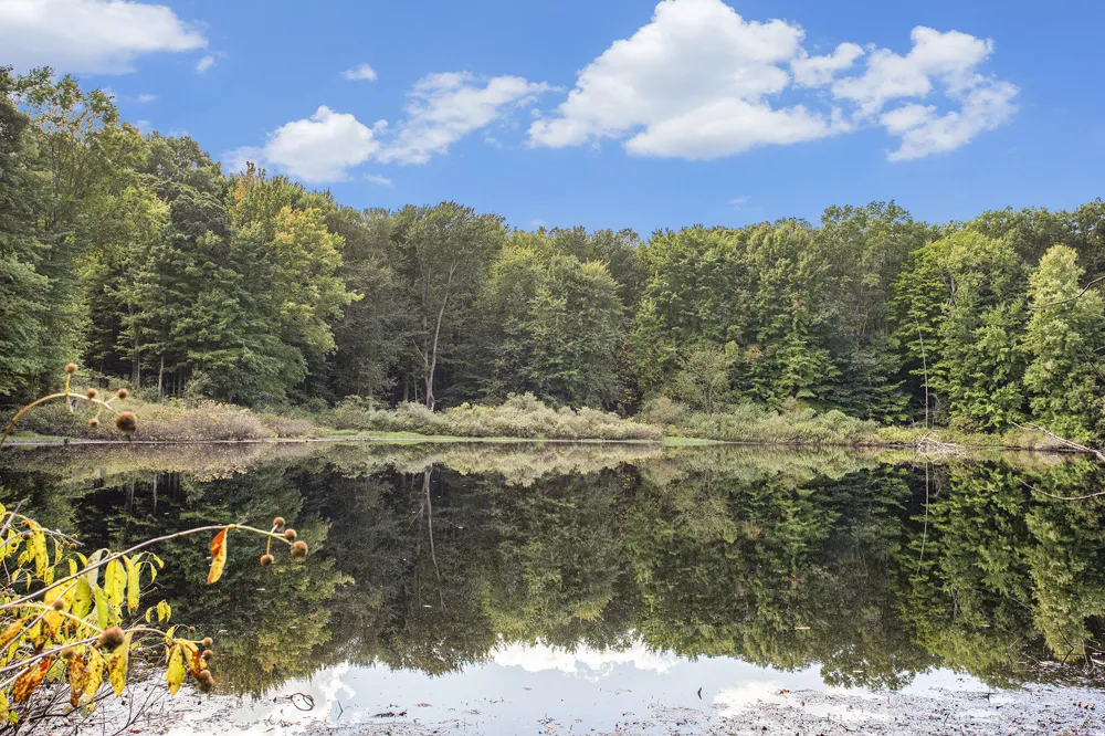 9425 Benjamin Drive Brooks Township, MI 49337