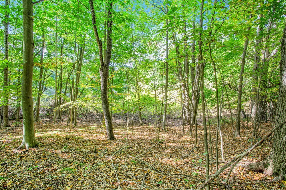 9425 Benjamin Drive Brooks Township, MI 49337