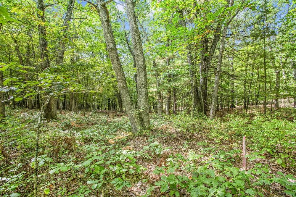 9425 Benjamin Drive Brooks Township, MI 49337