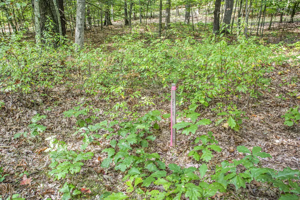 9425 Benjamin Drive Brooks Township, MI 49337
