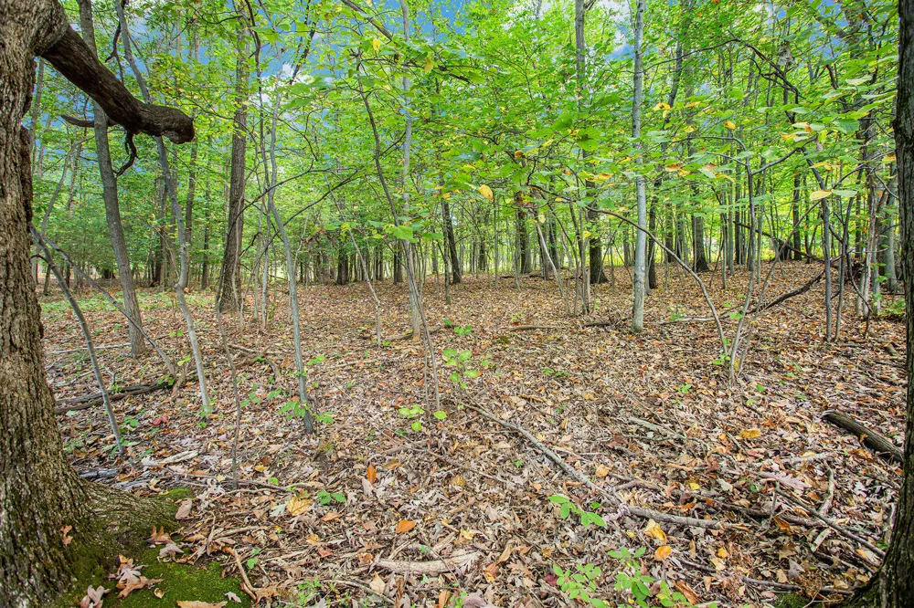 9425 Benjamin Drive Brooks Township, MI 49337