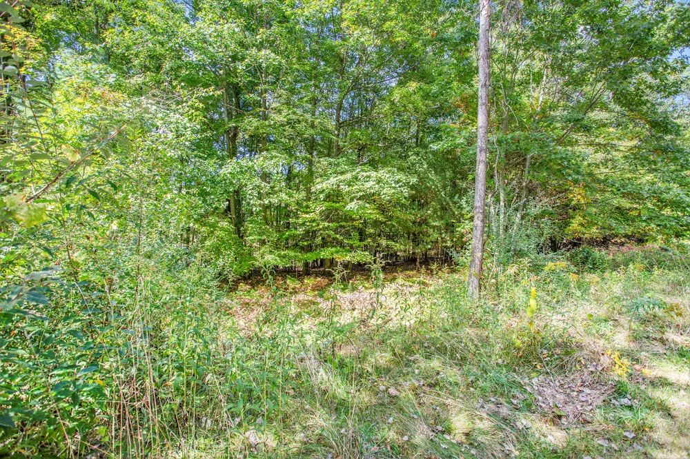 9425 Benjamin Drive Brooks Township, MI 49337