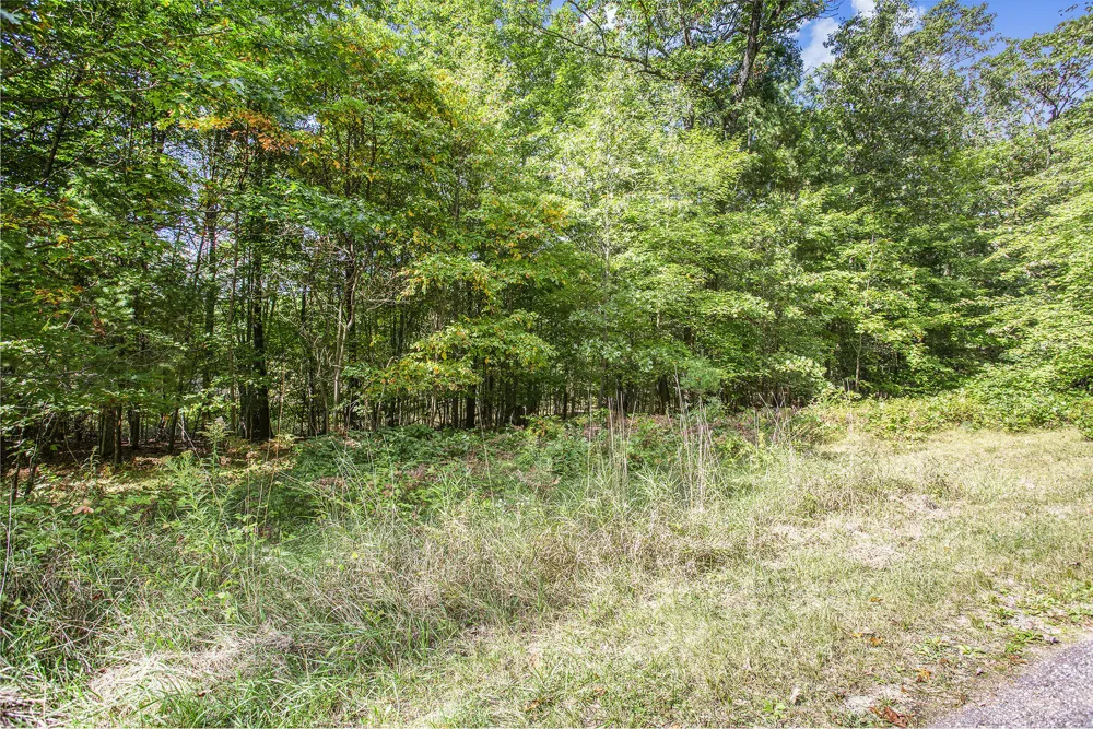 9425 Benjamin Drive Brooks Township, MI 49337