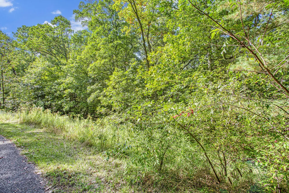 9425 Benjamin Drive Brooks Township, MI 49337