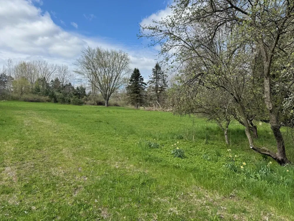 14605 Apple Ave Casnovia Township, MI 49318