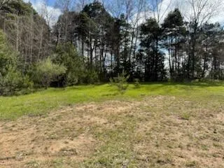 14605 Apple Ave Casnovia Township, MI 49318