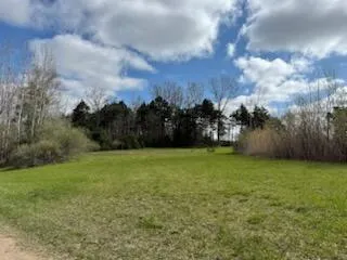 14605 Apple Ave Casnovia Township, MI 49318