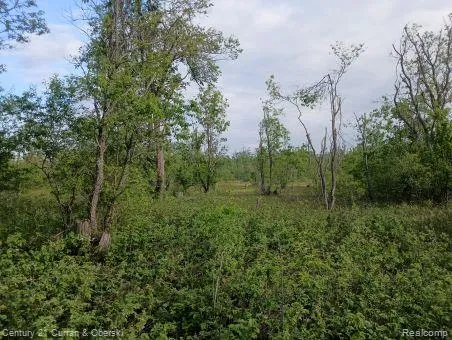 Finnegan Rd, Chester Township, MI 49751
