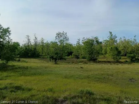 Finnegan Rd,
