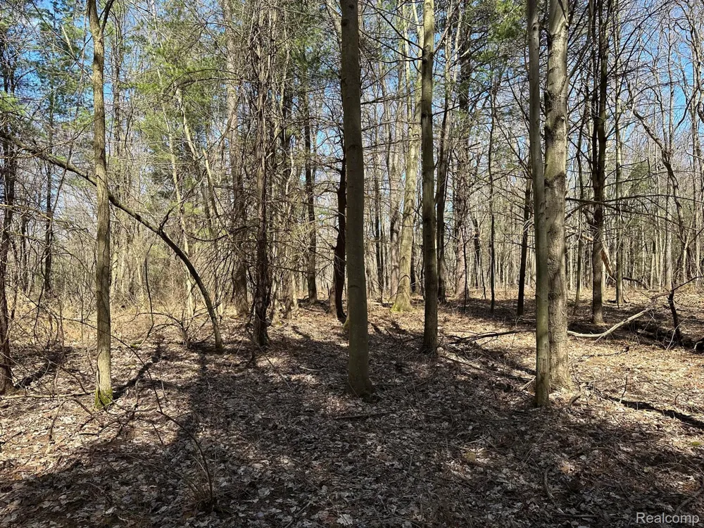 2 KNIGHTS BRIDGE ROAD Addison Township, MI 48367