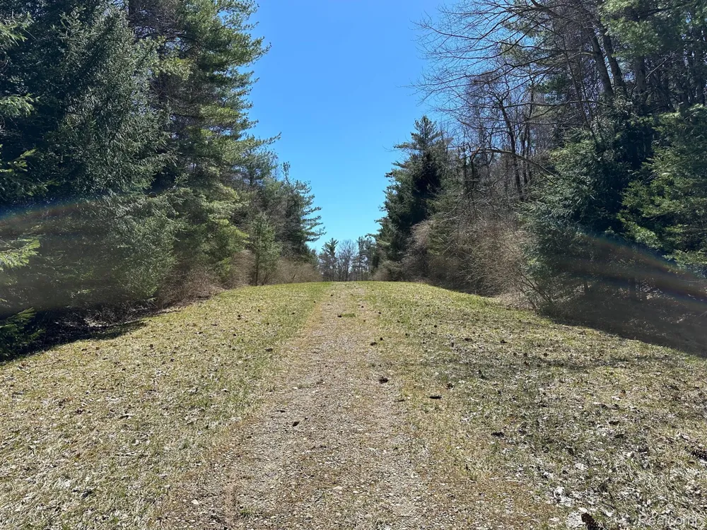 2 KNIGHTS BRIDGE ROAD Addison Township, MI 48367
