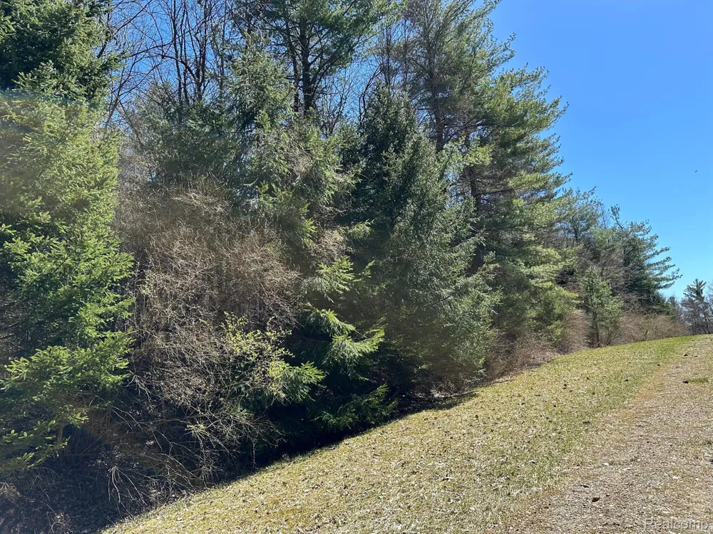 4 KNIGHTS BRIDGE ROAD Addison Township, MI 48367