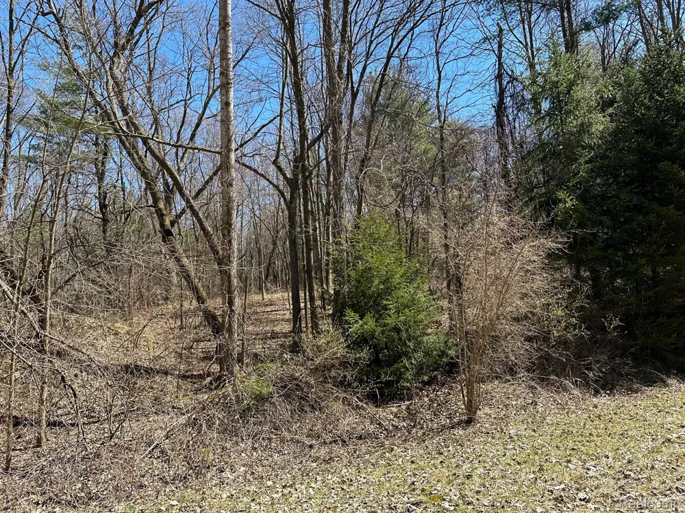 4 KNIGHTS BRIDGE ROAD Addison Township, MI 48367