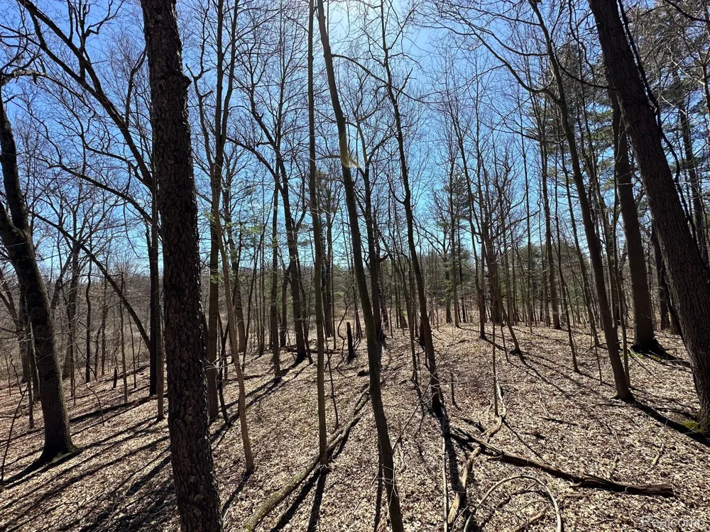 2 KNIGHTS BRIDGE ROAD Addison Township, MI 48367