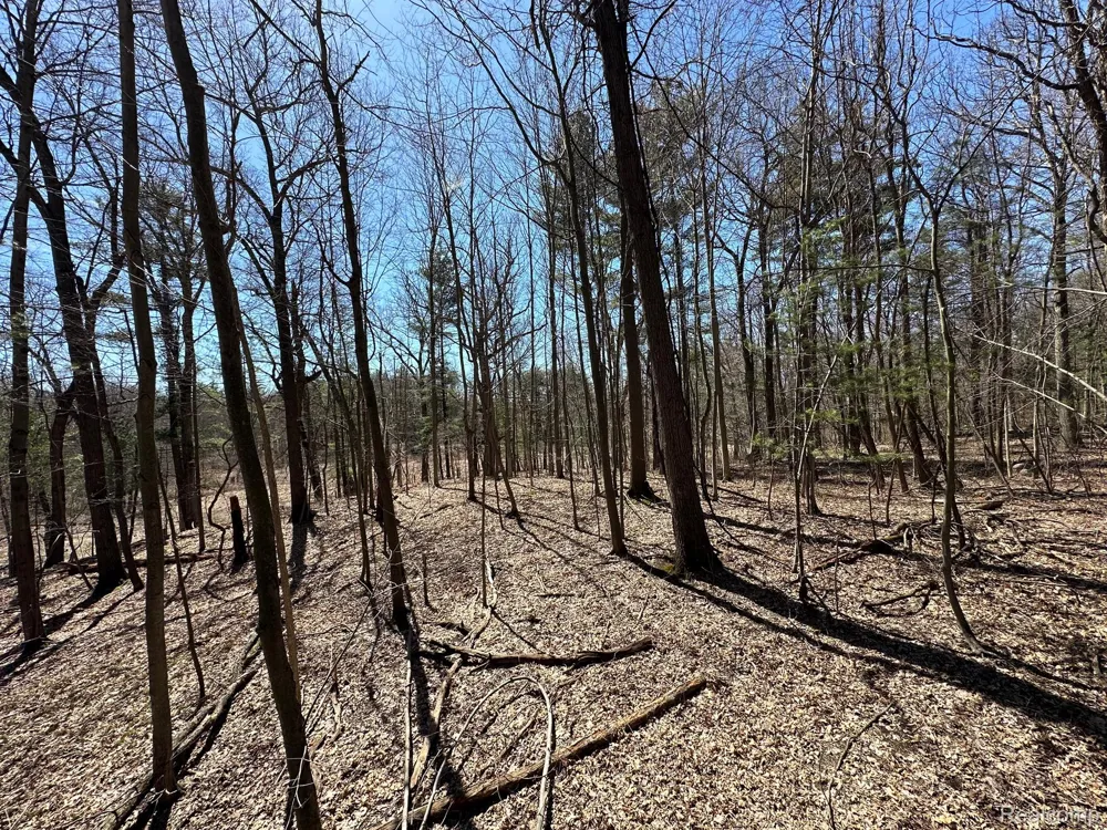 2 KNIGHTS BRIDGE ROAD Addison Township, MI 48367