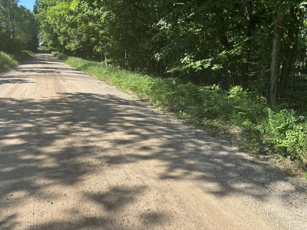 Forward Pioneer Township, MI 49651