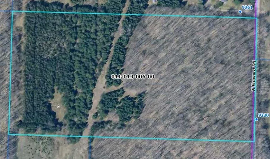 Forward Pioneer Township, MI 49651