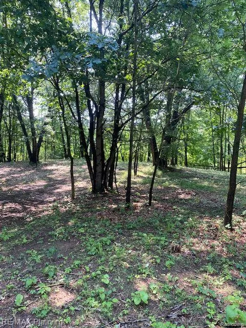4 Sleaford-Parcel 4 - 32.92 Acres Road