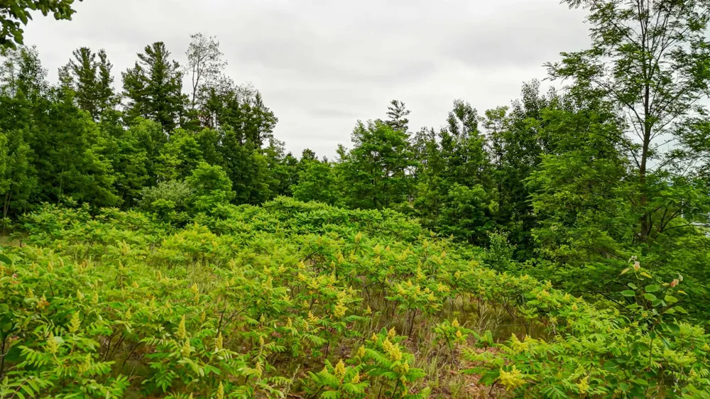 2050 Keystone Garfield Charter Township, MI 49686