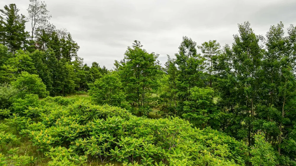 2050 Keystone Garfield Charter Township, MI 49686