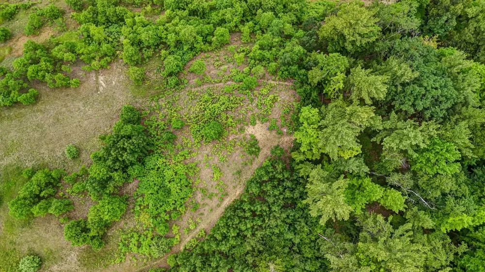 2050 Keystone Garfield Charter Township, MI 49686