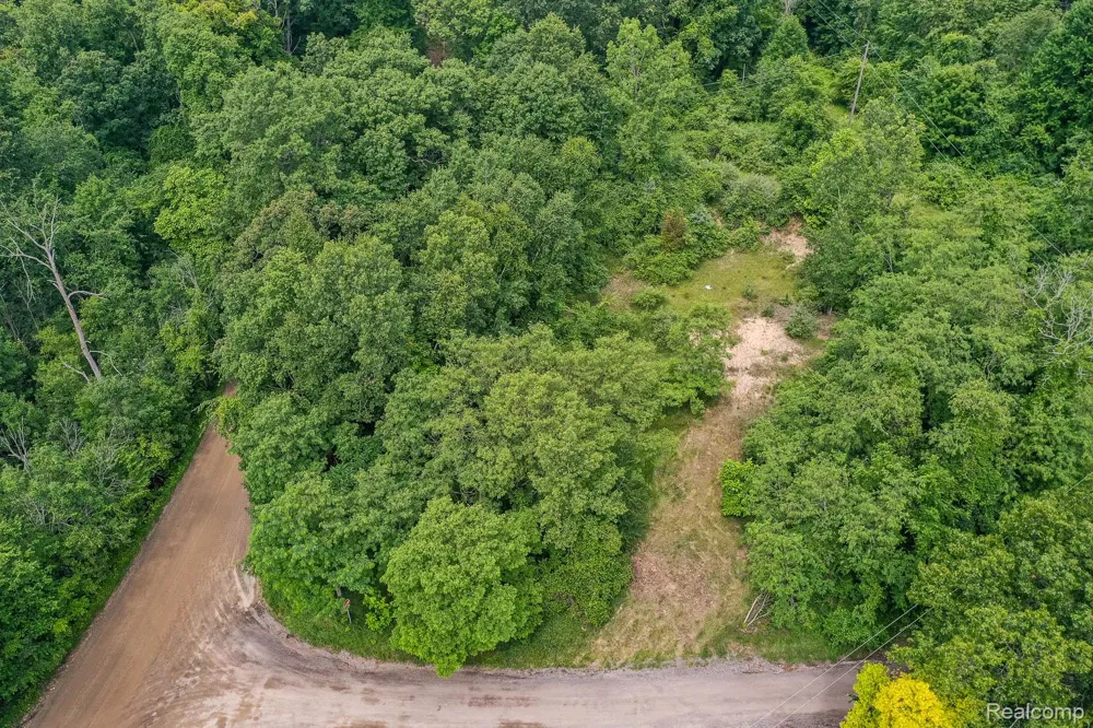 Pond Road Addison Township, MI 48367