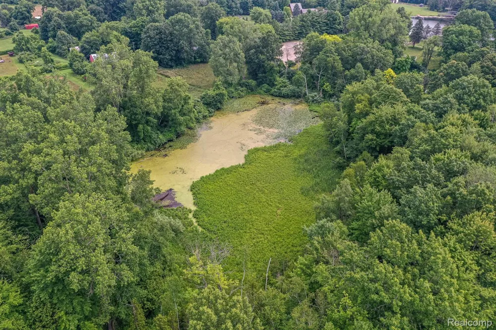 Pond Road Addison Township, MI 48367