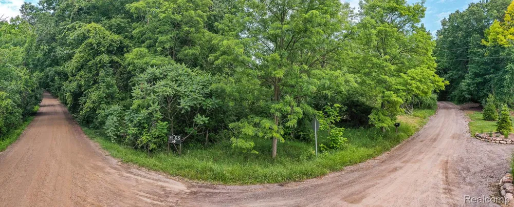 Pond Road Addison Township, MI 48367