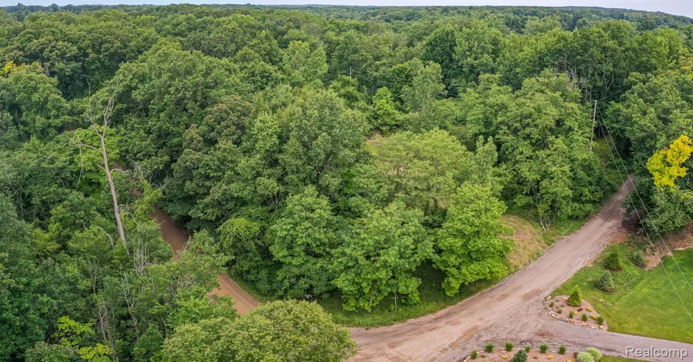 Pond Road Addison Township, MI 48367