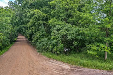 Pond Road
