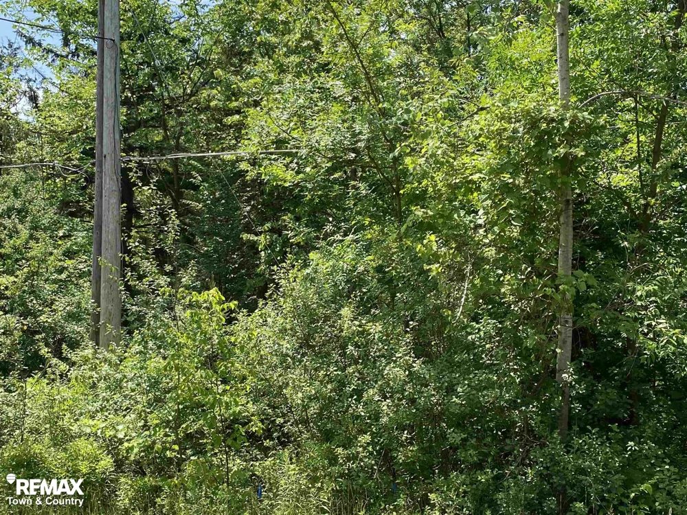 River Road Flushing Charter Township, MI 48433
