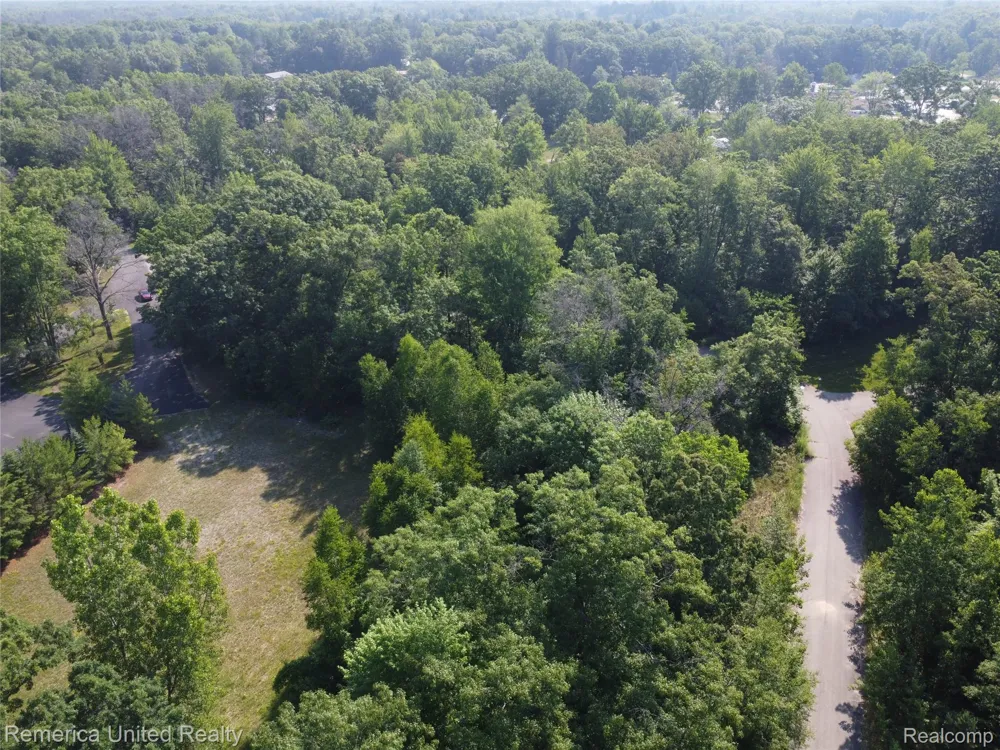 Pondside Dr Lot 13 Surrey Township, MI 48622